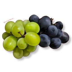 Rule 34 | commentary, food, food focus, fruit, grapes, highres, mitomaton, no humans, original, photorealistic, realistic, simple background, still life, twitter username, white background