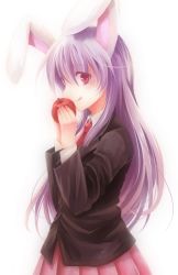 Rule 34 | 1girl, :q, animal ears, apple, ebibibibibi, female focus, food, fruit, holding, holding food, holding fruit, long hair, m-o-i-r-a, purple hair, rabbit ears, red eyes, reisen udongein inaba, solo, tongue, tongue out, touhou
