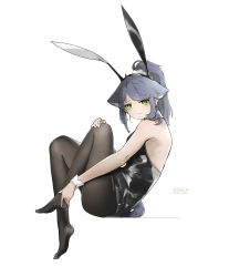 Rule 34 | animal ear fluff, animal ears, arknights, bare shoulders, black hair, black hairband, black pantyhose, cat ears, cat tail, character name, closed mouth, clothing cutout, english text, fake animal ears, from side, full body, green eyes, hairband, hand on own knee, highres, jessica (arknights), knees up, leotard, long hair, looking at viewer, looking to the side, no shoes, pantyhose, playboy bunny, ponytail, rabbit ears, shinnasuka025, simple background, sitting, swept bangs, tail, tail through clothes, wrist cuffs
