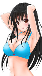 Rule 34 | 1girl, armpits, arms behind head, arms up, bare shoulders, black hair, blue bra, blush, bow, bra, breasts, brown eyes, cleavage, highres, kotegawa yui, large breasts, long hair, looking at viewer, navel, poa mellhen, red bow, simple background, solo, standing, to love-ru, underwear, upper body, white background