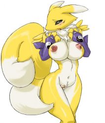 Rule 34 | black sclera, blush, breasts, colored sclera, digimon, digimon (creature), fox, furry, green eyes, large breasts, navel, nipples, nude, pussy, renamon, tail
