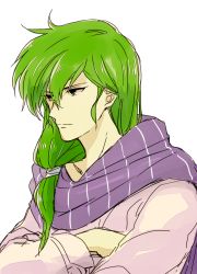 Rule 34 | 1boy, blouse, commentary request, crossed arms, fire emblem, fire emblem: genealogy of the holy war, green eyes, green hair, hair between eyes, lewyn (fire emblem), long hair, long sleeves, low-tied long hair, male focus, nintendo, purple scarf, saichi (meme+), scarf, shirt, simple background, solo, upper body, white background, white shirt