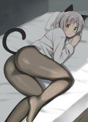 Rule 34 | 1girl, animal ears, ass, bad id, bad twitter id, black pantyhose, cat ears, cat tail, colored eyelashes, dress shirt, feet, glastonbury1966, green eyes, grey hair, long sleeves, lying, on side, panties, panties under pantyhose, pantyhose, sanya v. litvyak, shirt, short hair, solo, strike witches, tail, underwear, world witches series