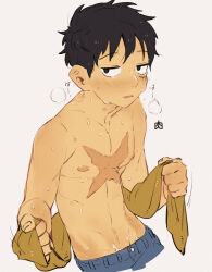 Rule 34 | 1boy, akr29, bite mark, bite mark on neck, black eyes, black hair, blush, cropped legs, drying, drying body, facial scar, grey background, half-closed eyes, handprint, highres, holding, holding towel, looking at viewer, male focus, monkey d. luffy, nipples, one piece, parted lips, puff of air, scar, scar on cheek, scar on chest, scar on face, short hair, simple background, solo, topless male, towel, wet, wet hair