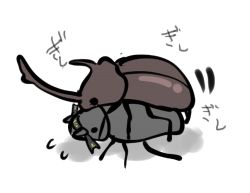 Rule 34 | 10s, animalization, bad id, bad pixiv id, beetle, bug, cis (carcharias), climbing, flying sweatdrops, hachimaki, hatsuzuki (kancolle), headband, horns, insect, kantai collection, mating (animal), no humans, rhinoceros beetle, sketch, solo, translation request, white background