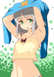 Rule 34 | 1girl, armpits, bad id, bad pixiv id, camisole, clothes lift, green eyes, midriff, navel, open mouth, ribbon, sanya v. litvyak, shirt lift, short hair, silver hair, slowstarter, solo, strike witches, sweat, undressing, world witches series
