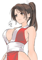 Rule 34 | 1girl, bare shoulders, breasts, brown eyes, brown hair, cleavage, closed mouth, commentary request, fatal fury, female focus, from below, hair tie, high ponytail, hip focus, large breasts, long hair, matching hair/eyes, ninja, obi, parted bangs, pelvic curtain, pink lips, ponytail, revealing clothes, sash, shiranui mai, sideboob, solo, the king of fighters, yamahara