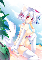 Rule 34 | 1girl, ahoge, animal ears, arm support, ass, beach, bikini, blush, breasts, food, fruit, gloves, hair ornament, hikanyan, ice, inubashiri momiji, large breasts, looking at viewer, looking back, ocean, red eyes, shiny skin, short hair, silver hair, skindentation, solo, swimsuit, tail, thighhighs, touhou, watermelon, white thighhighs, wolf ears, wolf tail