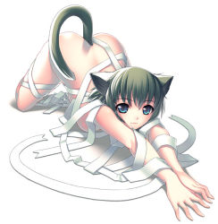 Rule 34 | 1girl, animal ears, bandages, blue eyes, breasts, cat, cat ears, cat tail, cruccu, jpeg artifacts, nude, short hair, solo, tail