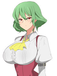 Rule 34 | 1girl, ascot, breasts, green hair, highres, huge breasts, kagemusha, kazami yuuka, looking at viewer, puffy sleeves, red eyes, short hair, simple background, sketch, solo, touhou, underbust, upper body, white background
