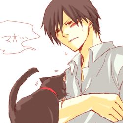 Rule 34 | ..., 00s, 1boy, black cat, black hair, blush, cat, collar, cuts, darker than black, hei (darker than black), injury, licking, lowres, male focus, mao (darker than black), shirt, simple background, solo, tongue, white background, white shirt
