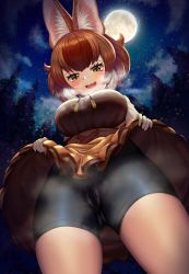 Rule 34 | 1girl, absurdres, animal ear fluff, animal ears, bike shorts, blush, breasts, breath, brown hair, cameltoe, clothes lift, commission, cowboy shot, dhole (kemono friends), dog ears, dress, dress lift, fisheye, from below, full moon, furrowed brow, gloves, highres, kemono friends, kemono friends 3, large breasts, lifting own clothes, looking at viewer, looking down, medium hair, moon, multicolored hair, naughty face, neukkom, night, night sky, official alternate costume, open mouth, outdoors, pussy juice, pussy juice drip through clothes, pussy juice stain, skin tight, sky, smile, solo, star (sky), starry sky, wavy mouth, wet, wet clothes, white hair, yellow eyes
