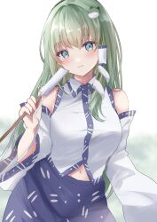 Rule 34 | 1girl, bare shoulders, blue eyes, blue skirt, blurry, blurry background, blush, closed mouth, collared shirt, cowboy shot, detached sleeves, dot nose, frog hair ornament, gohei, green eyes, green hair, hair ornament, hair tubes, hand up, highres, holding, holding gohei, kochiya sanae, kurage cc, long hair, long sleeves, looking at viewer, navel, one-hour drawing challenge, shirt, sidelocks, skirt, sleeveless, sleeveless shirt, smile, snake hair ornament, solo, standing, touhou, two-tone eyes, white background, white shirt, white sleeves, wide sleeves