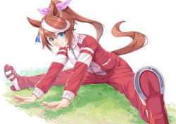 Rule 34 | 1girl, animal ears, blue eyes, bow, breasts, brown hair, closed mouth, commentary, ear ribbon, full body, grass, hair between eyes, hair flaps, high ponytail, horse ears, horse girl, horse tail, horseshoe, jacket, long hair, long sleeves, looking at viewer, miri (ago550421), multicolored clothes, multicolored hair, multicolored jacket, pants, pink ribbon, ponytail, red footwear, red jacket, red pants, ribbon, shadow, shoes, sidelocks, signature, simple background, sitting, small breasts, smile, solo, streaked hair, stretching, tail, tokai teio (umamusume), track suit, turtleneck, turtleneck jacket, two-tone hair, two-tone jacket, umamusume, white background, white hair, white jacket, zipper, zipper pull tab