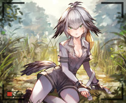 Rule 34 | 10s, 1girl, bad id, bad pixiv id, blonde hair, bodysuit, boots, breasts, cleavage, day, fingerless gloves, gloves, grass, green eyes, grey hair, grey shirt, hair flaps, head wings, kemono friends, looking at viewer, medium breasts, multicolored hair, on ground, outdoors, pantyhose, pantyhose under shorts, parted lips, partially unbuttoned, pepeto (cocoyuzumugi), shadow, shirt, shoebill (kemono friends), short sleeves, shorts, sitting, solo, sunlight, tree, viewfinder, wings