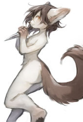 Rule 34 | 1girl, absurdres, animal ears, black hair, brown eyes, female focus, furry, furry female, grey fur, highres, holding, holding knife, holding weapon, knife, midori036, nude, original, short hair, sideways glance, simple background, solo, tail, weapon, white background, wolf ears, wolf tail