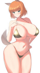 Rule 34 | 1girl, animal ears, bikini, blue eyes, blush, brave witches, breasts, cleavage, closed mouth, collarbone, dog ears, dog tail, gold bikini, gundula rall, hand on own hip, highres, large breasts, looking at viewer, solo, swimsuit, tail, varie7k, world witches series