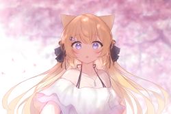 Rule 34 | 1girl, :o, animal ears, bare shoulders, bell, blonde hair, blurry, blurry background, cat ears, collarbone, guo582, hair ornament, hair ribbon, hairclip, halterneck, hanazono serena, hanazono serena (channel), highres, jewelry, jingle bell, long hair, looking at viewer, necklace, off-shoulder shirt, off shoulder, open mouth, purple eyes, ribbon, shirt, solo, tareme, upper body, virtual youtuber, white shirt