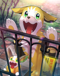 Rule 34 | boltund, bush, claws, commentary request, creatures (company), day, evolutionary line, fangs, fence, game freak, gen 8 pokemon, grass, green eyes, highres, nintendo, no humans, open mouth, outdoors, pokemon, pokemon (creature), sign, tile floor, tiles, tongue, tongue out, yamper, yukichi (tsuknak1)