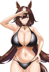 Rule 34 | 1girl, absurdres, alternate costume, animal ears, arm up, armpits, beach, bikini, black bikini, black choker, breasts, brown hair, choker, cleavage, commentary request, cowboy shot, ear ornament, hand on own hip, highres, horse ears, horse girl, horse tail, jewelry, large breasts, looking at viewer, multicolored hair, navel, necklace, ocean, outdoors, red eyes, simple background, sirius symboli (umamusume), solo, streaked hair, swimsuit, tail, tessa (uma orfevre), umamusume, water, white background, white hair