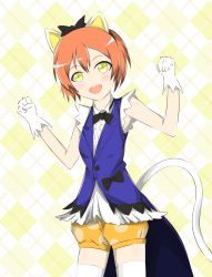 Rule 34 | 1girl, animal ears, artist name, artist request, bare shoulders, black bow, black bowtie, blue vest, blush, bow, bowtie, breasts, cat ears, cat tail, center frills, chain, clenched hands, collared shirt, dress, dress shirt, earrings, fake animal ears, female focus, frilled shirt, frilled shirt collar, frills, gloves, gold chain, green eyes, hair between eyes, hair bow, heart, heart earrings, highres, hoshizora rin, jewelry, korekara no someday, looking at viewer, love live!, love live! school idol festival, love live! school idol project, orange hair, orange shorts, parted lips, paw pose, polka dot, polka dot shorts, puffy shorts, ribbon, sarabiyo, shirt, short hair, shorts, sleeveless, sleeveless shirt, small breasts, smile, solo, spade (shape), spade earrings, tail, vest, white gloves, white legwear, white shirt, wing collar, yellow eyes