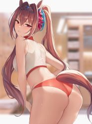 Rule 34 | 1girl, animal ears, ass, bad id, bad pixiv id, bare shoulders, blurry, blurry background, breasts, brown hair, building, commentary request, cowboy shot, crop top, daiwa scarlet (umamusume), day, depth of field, glaring, hair between eyes, hair intakes, highres, horse ears, horse girl, horse tail, large breasts, leaning forward, light blush, long hair, looking at viewer, looking back, oni kanzei, orange panties, outdoors, panties, parted lips, red eyes, solo, standing, tail, tank top, tiara, umamusume, underwear, v-shaped eyebrows, very long hair, white tank top