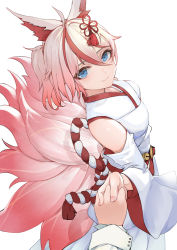 Rule 34 | 1girl, animal ears, bare shoulders, bell, blue eyes, blush, captain (honkai impact), detached sleeves, fangs, fox ears, fox tail, from above, gradient hair, hair between eyes, hair ribbon, holding hands, highres, higokumaru, honkai (series), honkai impact 3rd, japanese clothes, looking at viewer, multicolored hair, multiple tails, nontraditional miko, pink hair, pov, red ribbon, ribbon, short hair, smile, solo focus, streaked hair, tail, wide sleeves, zhourues