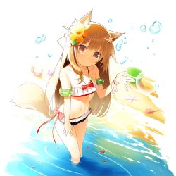 Rule 34 | 1girl, :&gt;, animal ears, bandeau, bikini, brown eyes, brown hair, character request, closed mouth, crab, floater (floater80012059), flower, foreshortening, from above, hair flower, hair ornament, halterneck, inflatable armbands, looking at viewer, nekomu, petals, side-tie bikini bottom, single sidelock, smile, solo, starfish, swimsuit, tail, transparent background, uchi no hime-sama ga ichiban kawaii, wading, wristband