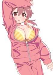 Rule 34 | 1girl, aosetsu, arm on own head, arm up, bare shoulders, bra, breasts, brown eyes, brown hair, cleavage, collarbone, colored inner hair, commentary, cowboy shot, dot nose, feet out of frame, hair between eyes, large breasts, light blush, looking at viewer, low twintails, multicolored hair, murosaki miyo, onii-chan wa oshimai!, open mouth, partially unzipped, pink hair, pink track suit, short twintails, simple background, sleeves past wrists, solo, striped bra, striped clothes, twintails, underwear, white background, yellow bra