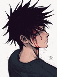 Rule 34 | 1boy, absurdres, artist name, black hair, black shirt, bleeding, blood, blood on face, closed mouth, commentary, english commentary, eyelashes, fushiguro megumi, green eyes, hair between eyes, highres, jujutsu kaisen, looking at viewer, looking back, male focus, saucybrtt, shirt, short hair, solo, spiked hair