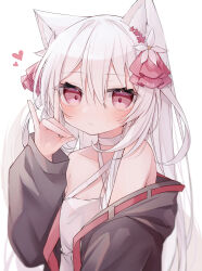 Rule 34 | 1girl, animal ear fluff, animal ears, bare shoulders, black jacket, blush, choker, closed mouth, commentary request, criss-cross halter, dress, flower, fox ears, fox shadow puppet, hair between eyes, hair flower, hair ornament, hair ribbon, halterneck, hand up, heart, highres, jacket, long hair, long sleeves, looking at viewer, off shoulder, open clothes, open jacket, original, puffy long sleeves, puffy sleeves, red eyes, red flower, red ribbon, ribbon, ringouulu, simple background, sleeves past wrists, solo, twitter username, upper body, very long hair, watermark, white background, white choker, white dress, white flower, white hair
