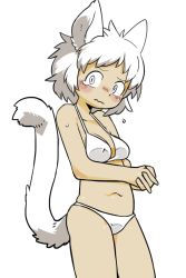 Rule 34 | 1girl, animal ears, bikini, blush, borrowed character, breasts, cat ears, cat tail, embarrassed, female focus, halterneck, halterneck, highres, konopizaga!!, navel, original, short hair, simple background, solo, swimsuit, tail, wavy mouth, white background, white hair