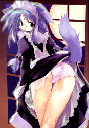 Rule 34 | 1girl, animal ears, ass, back, blue hair, braid, checkered clothes, checkered panties, dog ears, dog tail, dress, e=mc2 (mosimosi), from behind, full moon, glasses, grey eyes, lingerie, looking back, maid, moon, panties, pantyshot, petticoat, plaid, plaid panties, purple panties, solo, standing, tail, thigh gap, thighs, twin braids, underwear, upskirt