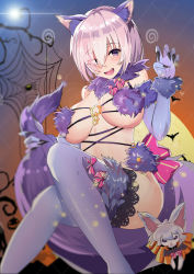 Rule 34 | 1girl, absurdres, animal ears, bat (animal), blush, breasts, bug, cat ears, claws, elbow gloves, eyes visible through hair, fate/grand order, fate (series), fur-trimmed gloves, fur-trimmed legwear, fur trim, gloves, hair between eyes, halloween, halloween costume, happy halloween, highres, large breasts, light purple hair, looking at viewer, mash kyrielight, mash kyrielight (dangerous beast), musicatopos, official alternate costume, open mouth, paw pose, purple eyes, purple gloves, short hair, silk, sitting, smile, solo, spider, spider web, tail