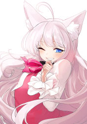 Rule 34 | 1girl, ahoge, animal ear fluff, animal ears, black collar, blue eyes, blush, bow, collar, commentary request, gooak, grin, hand up, highres, jacket, long hair, long sleeves, looking at viewer, one eye closed, open clothes, open jacket, original, pink bow, pink shirt, pink skirt, pleated skirt, shirt, silver hair, simple background, skirt, smile, solo, upper body, very long hair, white background, white jacket
