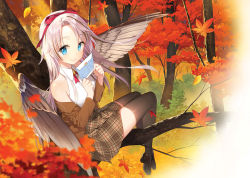 Rule 34 | 1girl, autumn leaves, bare shoulders, black thighhighs, blazer, blue eyes, breasts, brown footwear, brown jacket, brown skirt, brown wings, closed mouth, collared shirt, commentary request, day, envelope, feathered wings, forest, hands up, holding, holding envelope, in tree, jacket, leaf, loafers, long hair, long sleeves, maple leaf, nature, off shoulder, open clothes, open jacket, original, outdoors, parted bangs, plaid, plaid skirt, pleated skirt, salt (salty), shirt, shoes, silver hair, sitting, skirt, sleeveless, sleeveless shirt, small breasts, smile, solo, thighhighs, tree, very long hair, white shirt, wings