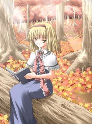 Rule 34 | 1girl, alice margatroid, autumn, autumn leaves, blonde hair, book, capelet, female focus, hairband, holding, holding book, light rays, open book, plant, puffy short sleeves, puffy sleeves, short hair, short sleeves, sitting, solo, subaru noji, touhou, tree, tree stump