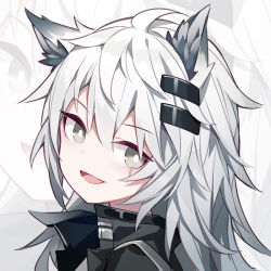 Rule 34 | 1girl, animal ear fluff, animal ears, arknights, black jacket, grey eyes, hair ornament, hairclip, jacket, lappland (arknights), long hair, looking at viewer, looking to the side, open mouth, portrait, quan (kurisu tina), smile, solo, white hair, wolf ears, zoom layer
