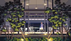 Rule 34 | 1girl, animated, animated gif, blue jacket, branch, brown hair, car, chair, dress, grass, jacket, lights, long sleeves, motor vehicle, night, original, pixel art, plant, setamo map, solo, standing, table, thighhighs, tree, white dress