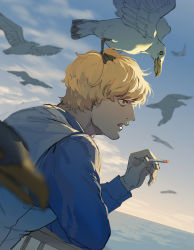 Rule 34 | 1boy, animal, animal on head, bird, bird on head, blonde hair, cigarette, curly hair, donquixote rocinante, from side, highres, long sleeves, male focus, ocean, on head, one piece, parted lips, red eyes, santa65, seagull, short hair, solo