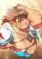 Rule 34 | 1boy, abacus, andvari (housamo), arm hair, bara, bare pectorals, beard, belly, blush, brown hair, bulge, chest hair, dark-skinned male, dark skin, facial hair, fat, fat man, foreshortening, from above, full body, green male swimwear, grin, hairy, hawaiian shirt, highres, hood, hooded jacket, jacket, jewelry, leg hair, long hair, long sideburns, male focus, male swimwear, mature male, muscular, muscular male, navel, necklace, nipples, open clothes, open jacket, pectorals, perspective, pointy ears, shirt, sideburns, smile, solo, stomach, swim briefs, thick eyebrows, thighs, tokiniha netai (pm8sleepy), tokyo houkago summoners