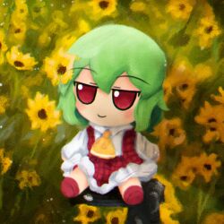 Rule 34 | 1girl, absurdres, ascot, closed mouth, collared shirt, commentary, commission, english commentary, flower, fumo (doll), green hair, highres, kazami yuuka, lad der, long sleeves, outdoors, plaid, plaid skirt, plaid vest, red footwear, red skirt, red vest, shirt, short hair, skirt, smile, solo, sunflower, touhou, vest, white shirt, yellow ascot, yellow flower