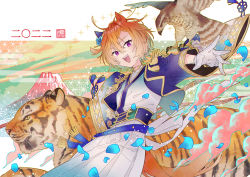Rule 34 | 1girl, 2022, animal ears, bird, blue jacket, corset, cropped jacket, egasumi, falcon, futaba (futaba uc), gloves, gradient hair, hair between eyes, highres, horse ears, horse girl, horse tail, jacket, japanese clothes, kimono, kimono skirt, looking at viewer, multicolored hair, official alternate costume, open mouth, orange hair, outstretched arm, petals, purple eyes, short hair, smile, solo, t.m. opera o (blue dazzle) (umamusume), t.m. opera o (umamusume), tail, teeth, tiger ears, tongue, umamusume, upper teeth only, white gloves