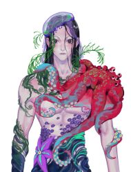 Rule 34 | 1boy, absurdres, animal, animal on head, animal on shoulder, black eyes, black hair, closed mouth, extra eyes, flower, hair between eyes, highres, hunter x hunter, illumi zoldyck, jellyfish, kuhuo, male focus, nipples, nude, octopus, on head, seaweed, simple background, solo, tattoo, tentacles, tentacles on male, toned, toned male, transparent, upper body, wet, wet hair, white background