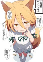 Rule 34 | 1girl, :3, animal ears, blonde hair, fox ears, fox girl, highres, kudamaki tsukasa, lolimate, looking at viewer, shirt, shorts, smug, solo, thought bubble, touhou, translation request, white background, white shirt, white shorts, yellow eyes