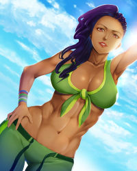 Rule 34 | 1girl, abs, arm up, armpits, asymmetrical hair, bare shoulders, belt, blue sky, bracelet, breasts, brown eyes, cleavage, cloud, collarbone, cornrows, cowboy shot, crop top, dark-skinned female, dark skin, day, dutch angle, front-tie top, green pants, green shirt, groin, hand on own hip, jewelry, large breasts, laura matsuda, lips, long hair, looking at viewer, midriff, muscular, muscular female, navel, open belt, pants, parted lips, shirt, sky, sleeveless, sleeveless shirt, solo, standing, street fighter, street fighter v, sunlight, tied shirt, wavy hair, yuhji