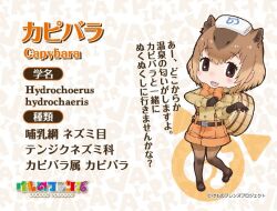 Rule 34 | 1girl, animal ears, capybara (kemono friends), extra ears, kemono friends, looking at viewer, official art, simple background, solo, tail, yoshizaki mine
