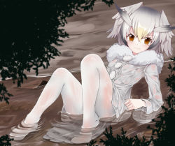 Rule 34 | 10s, 1girl, blush, brown eyes, buttons, coat, fur collar, fur trim, grey hair, hair between eyes, head wings, kemono friends, long sleeves, looking at viewer, multicolored hair, no shoes, noa (nagareboshi), northern white-faced owl (kemono friends), pantyhose, partially submerged, river, see-through, short hair, solo, water, wet, wet clothes, white hair, white pantyhose, wings