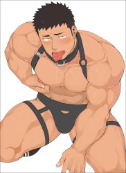 Rule 34 | 1boy, abs, bara, bare pectorals, belt collar, black eyes, black hair, blush, bondage outfit, boxers, bulge, chest harness, collar, feet out of frame, harness, highres, large pectorals, looking at viewer, male focus, male underwear, muscular, naop (anything), navel, nipple stimulation, nipple tweak, nipples, original, pectorals, saliva, saliva trail, short hair, socks, solo, thick thighs, thighs, tongue, tongue out, tweaking own nipple, underwear