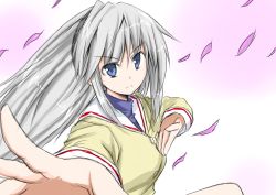 Rule 34 | 00s, 1girl, bad id, bad pixiv id, blue eyes, cherry blossoms, clannad, fighting stance, hairband, long hair, petals, sakagami tomoyo, school uniform, silver hair, solo, stance, wata